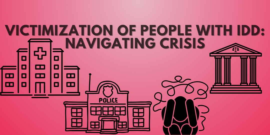 Product image for Victimization of People with IDD (Intellectual/Developmental Disabilities): Navigating Crisis