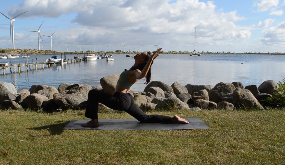 Product image for Vinyasa Yoga