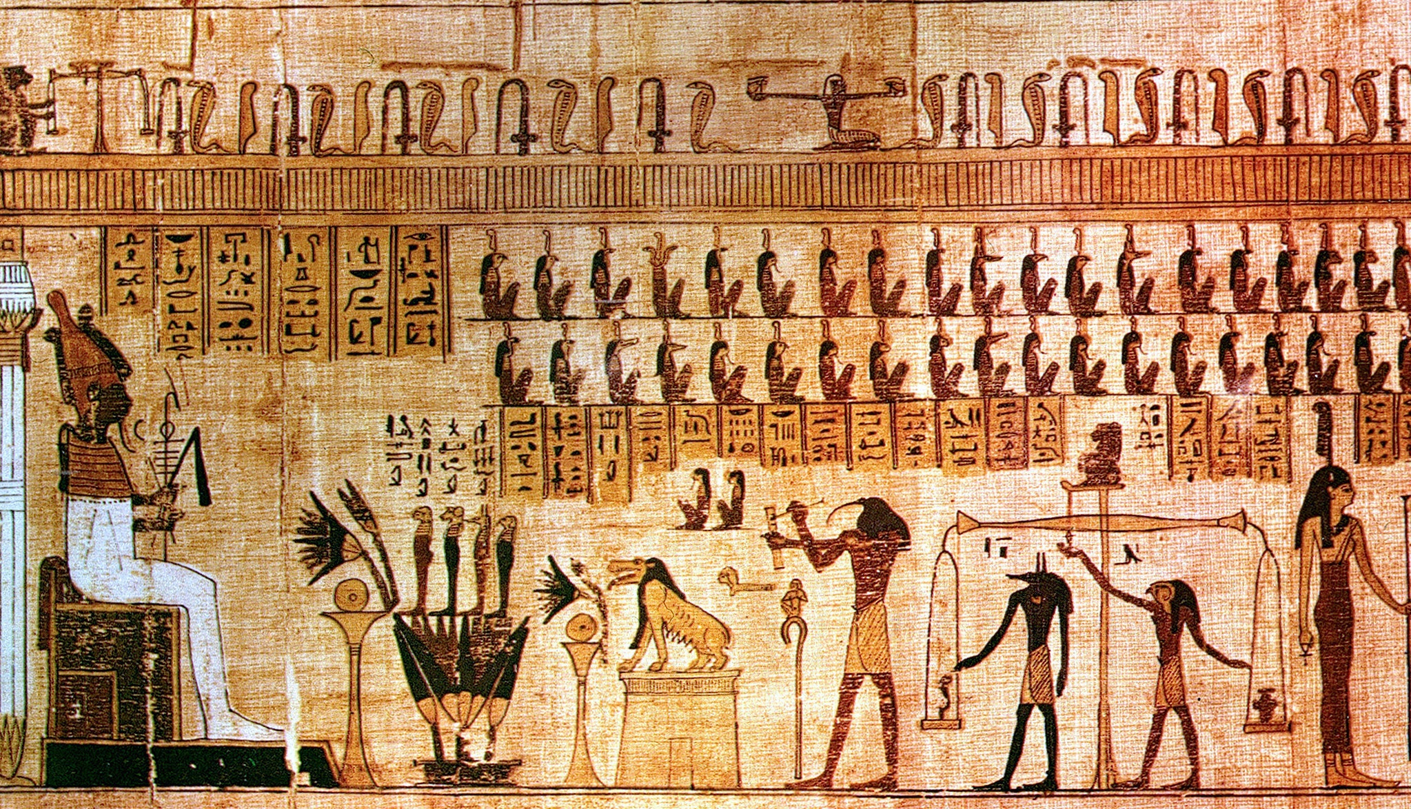 Product image for Egyptian Cosmology 