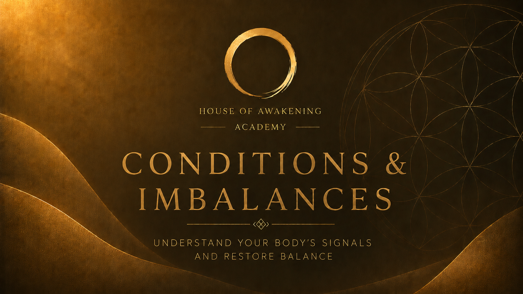 Product image for Conditions & Imbalances