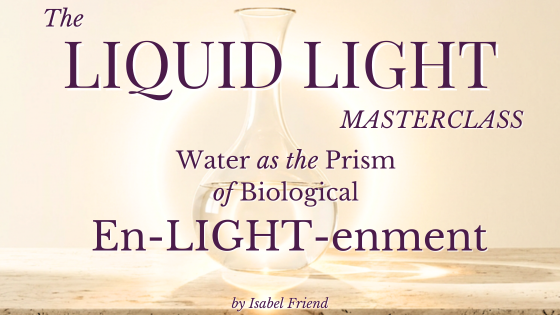 Product image for The Liquid Light: Water as the Prism of Biological En-LIGHT-enment