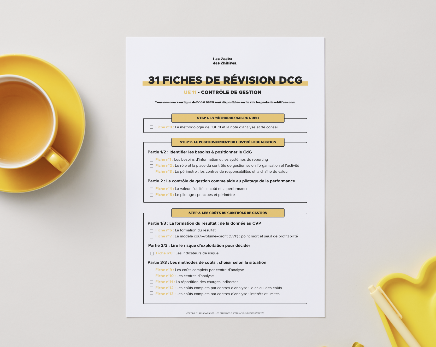 Image du produit pour 31 Fiches de révision - DCG UE11 : Contrôle de gestion
