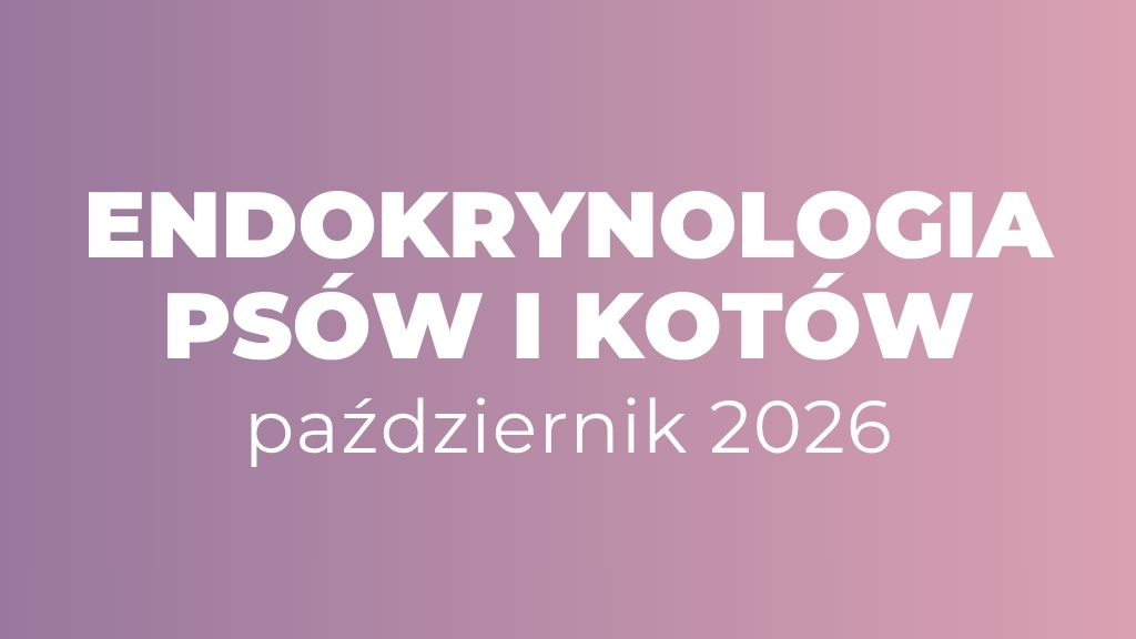 Product image for Endokrynologia Psów i Kotów - październik 2026 (7 tygodni)