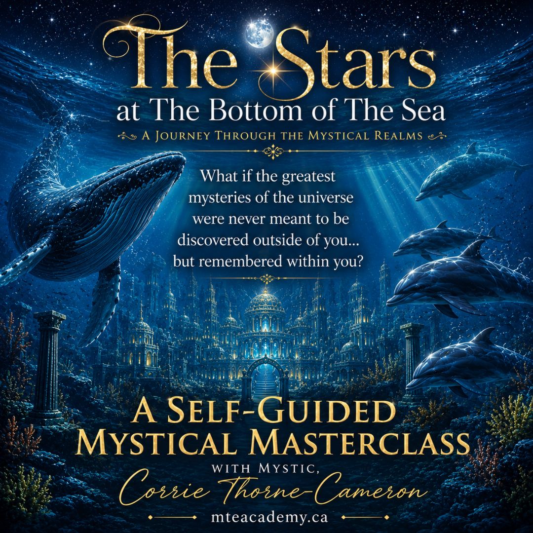 The Stars At The Bottom Of The Sea 
