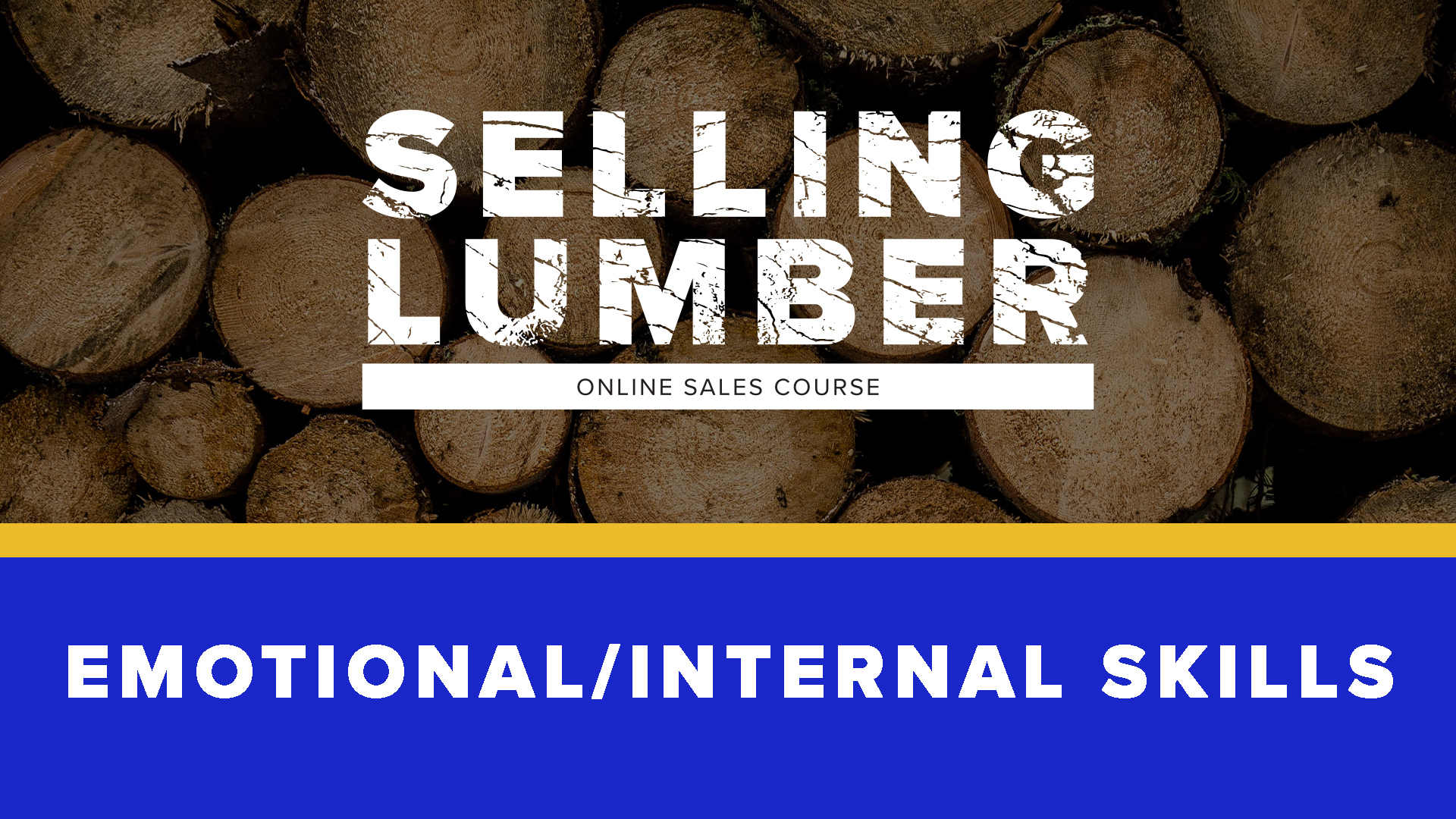 Product image for Emotional/Internal Skills