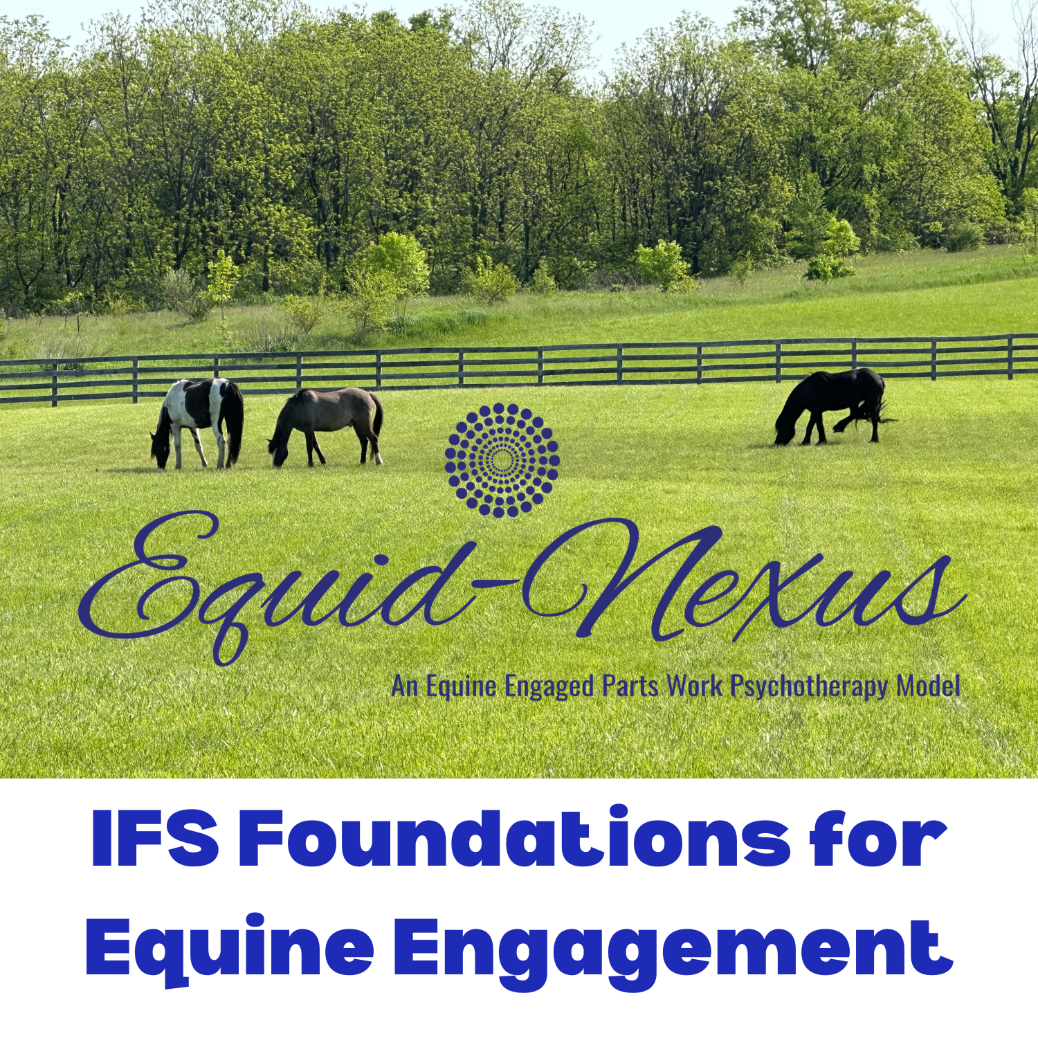 Product image for IFS Foundations for the Equid-Nexus Model