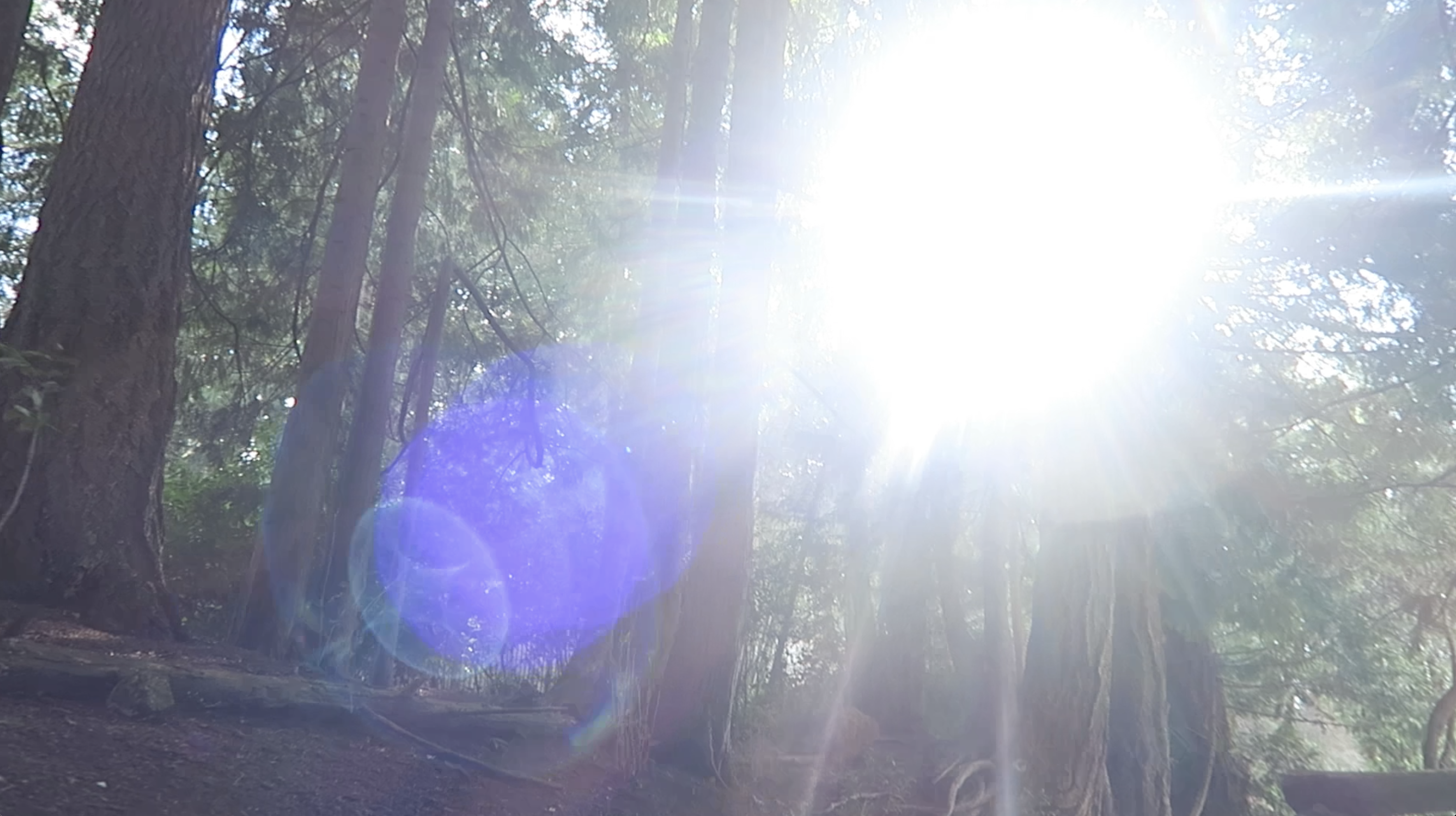 Product image for Psychic Medium Reading