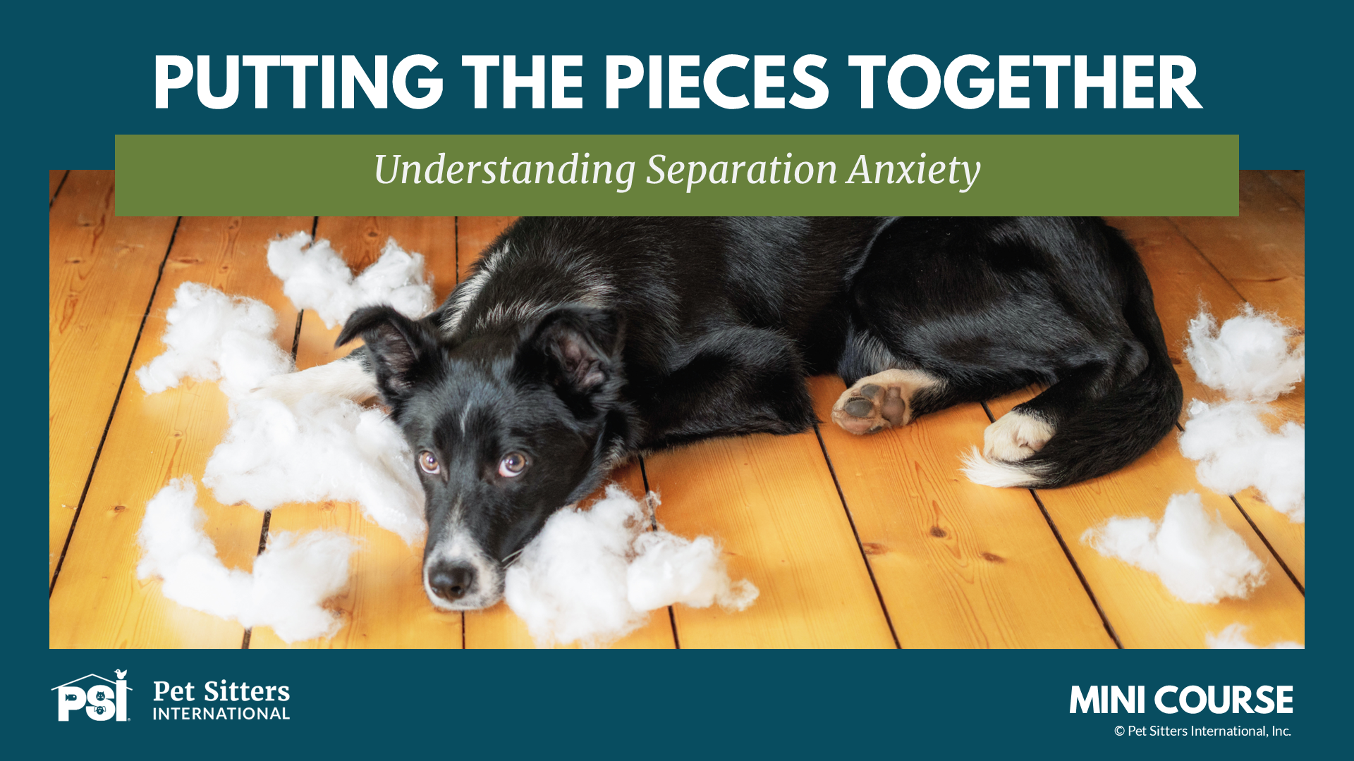 Product image for PSI Mini Course: Understanding Separation Anxiety