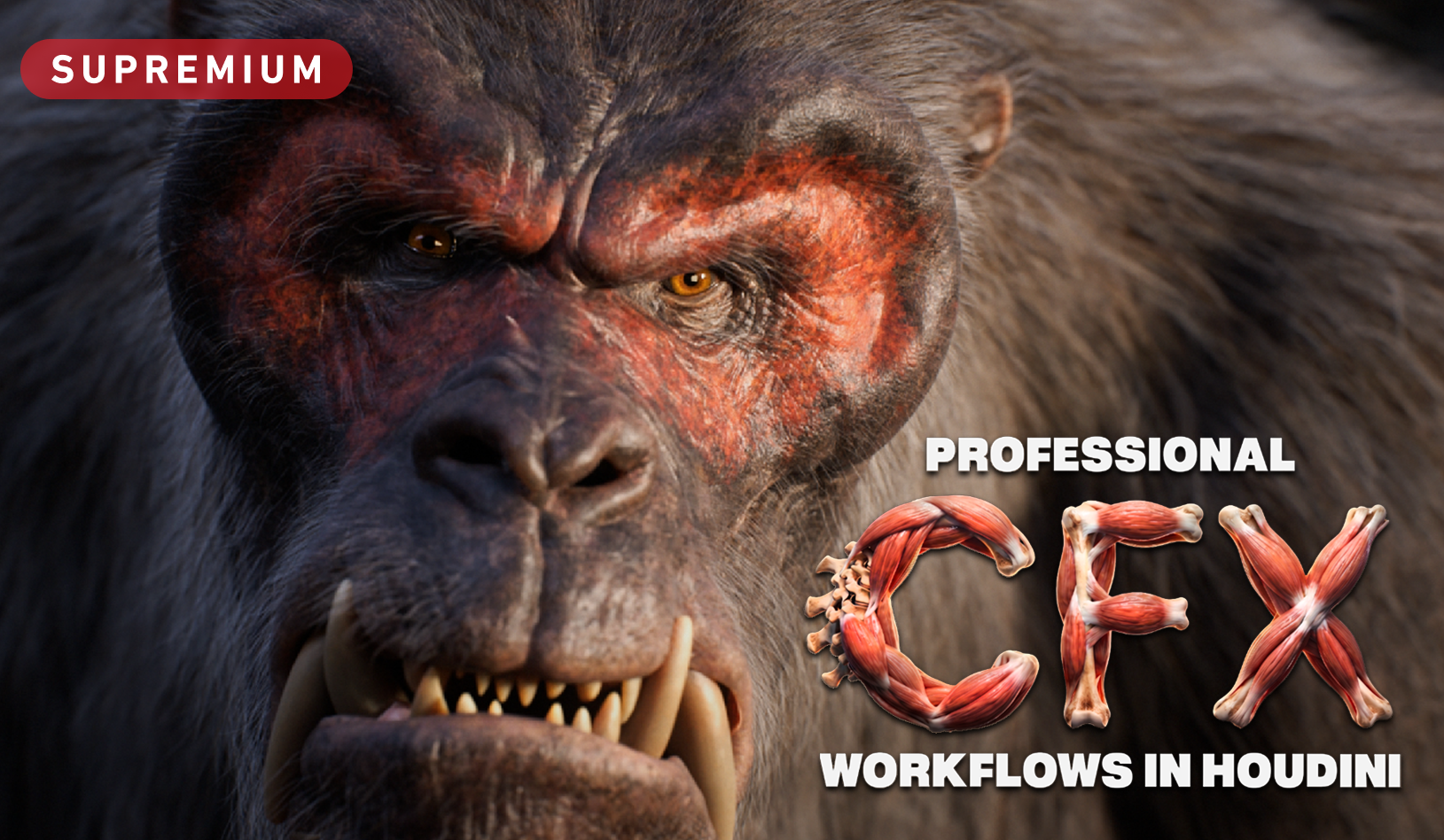 Product image for Professional CFX workflows in Houdini - Supremium