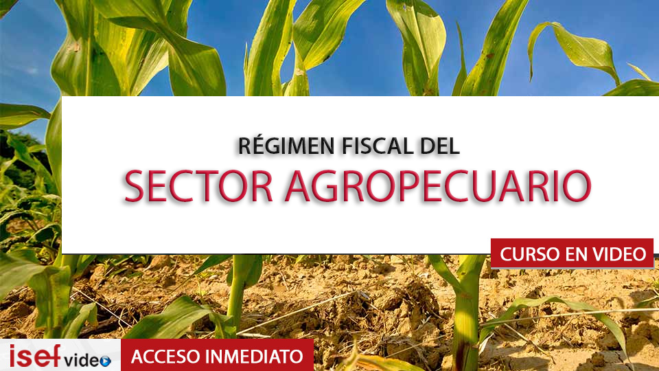 Imagen de producto para RÉGIMEN FISCAL DEL SECTOR AGROPECUARIO