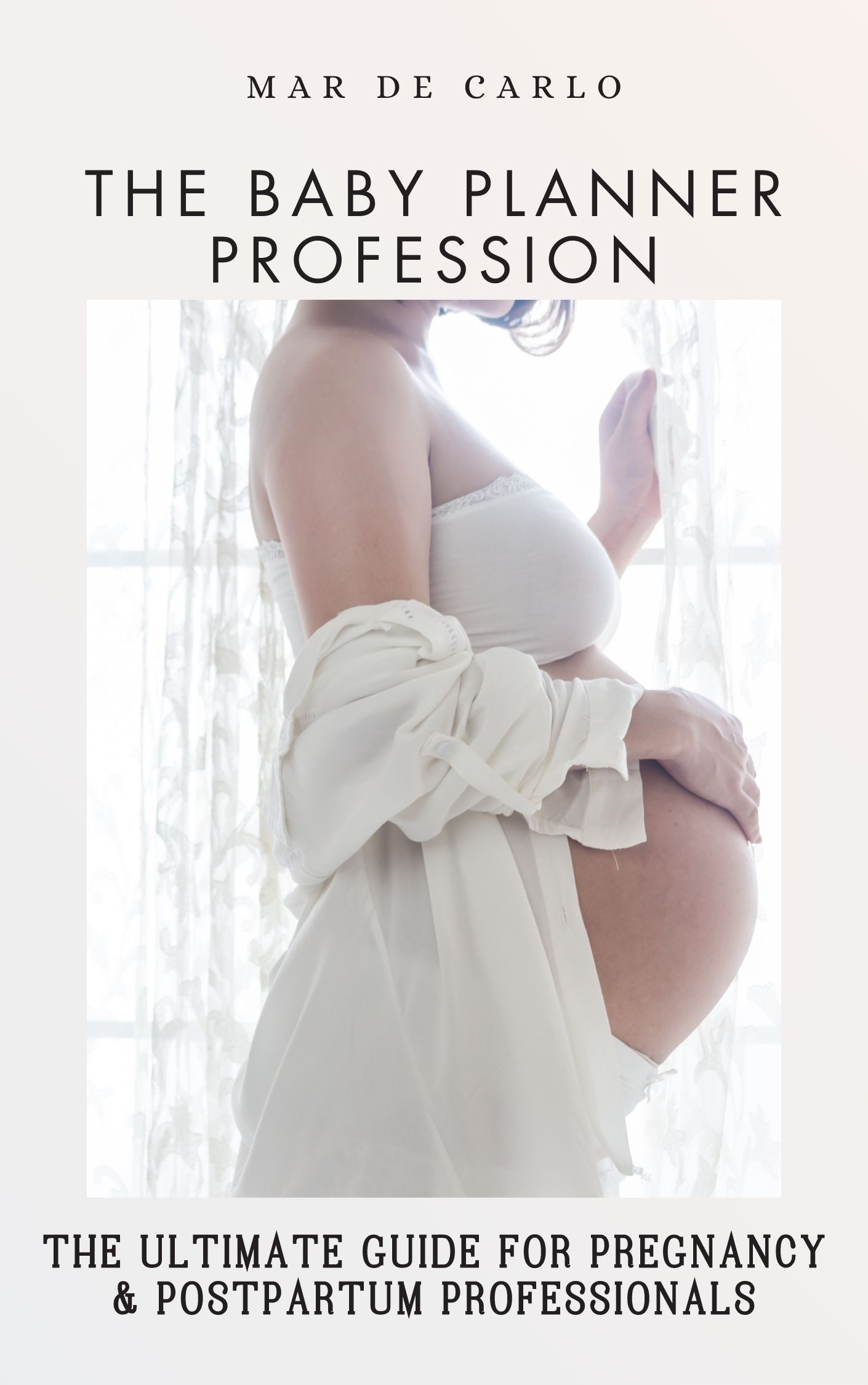Product image for The Baby Planner Profession