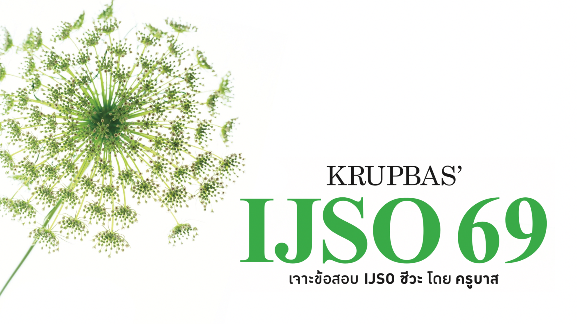 Product image for IJSO ชีวะ B