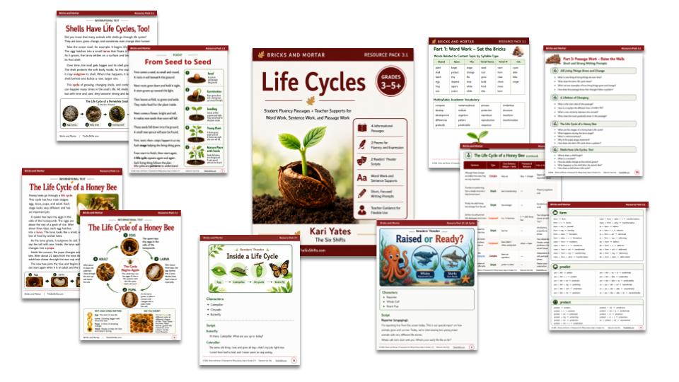 Product image for Filling Literacy Gaps: Bricks and Mortar Resource Pack 3.1 Life Cycles