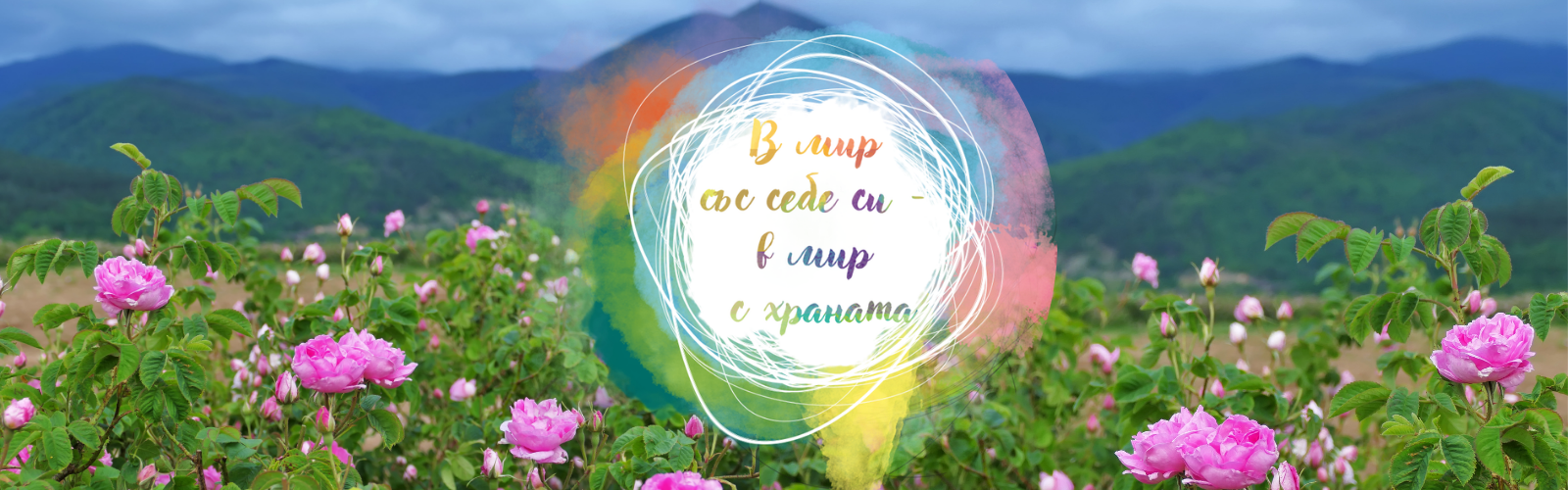 Product image for В Мир Със Себе си В Мир с Храната - 6 месечна група