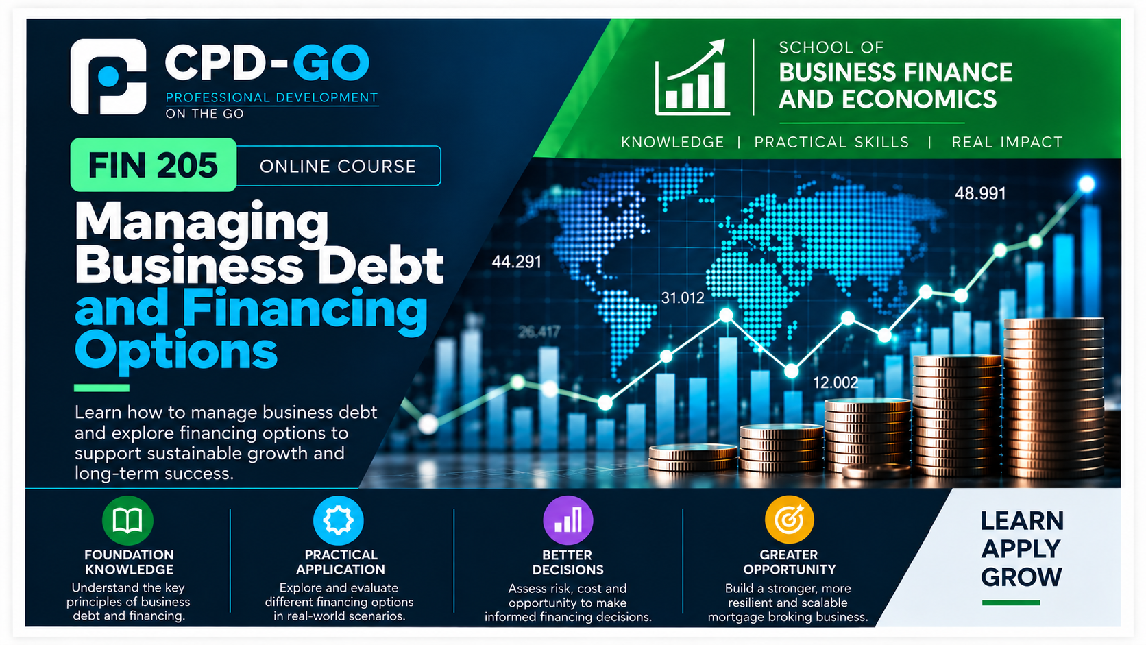 Product image for FIN 205 - Managing Business Debt and Financing Options