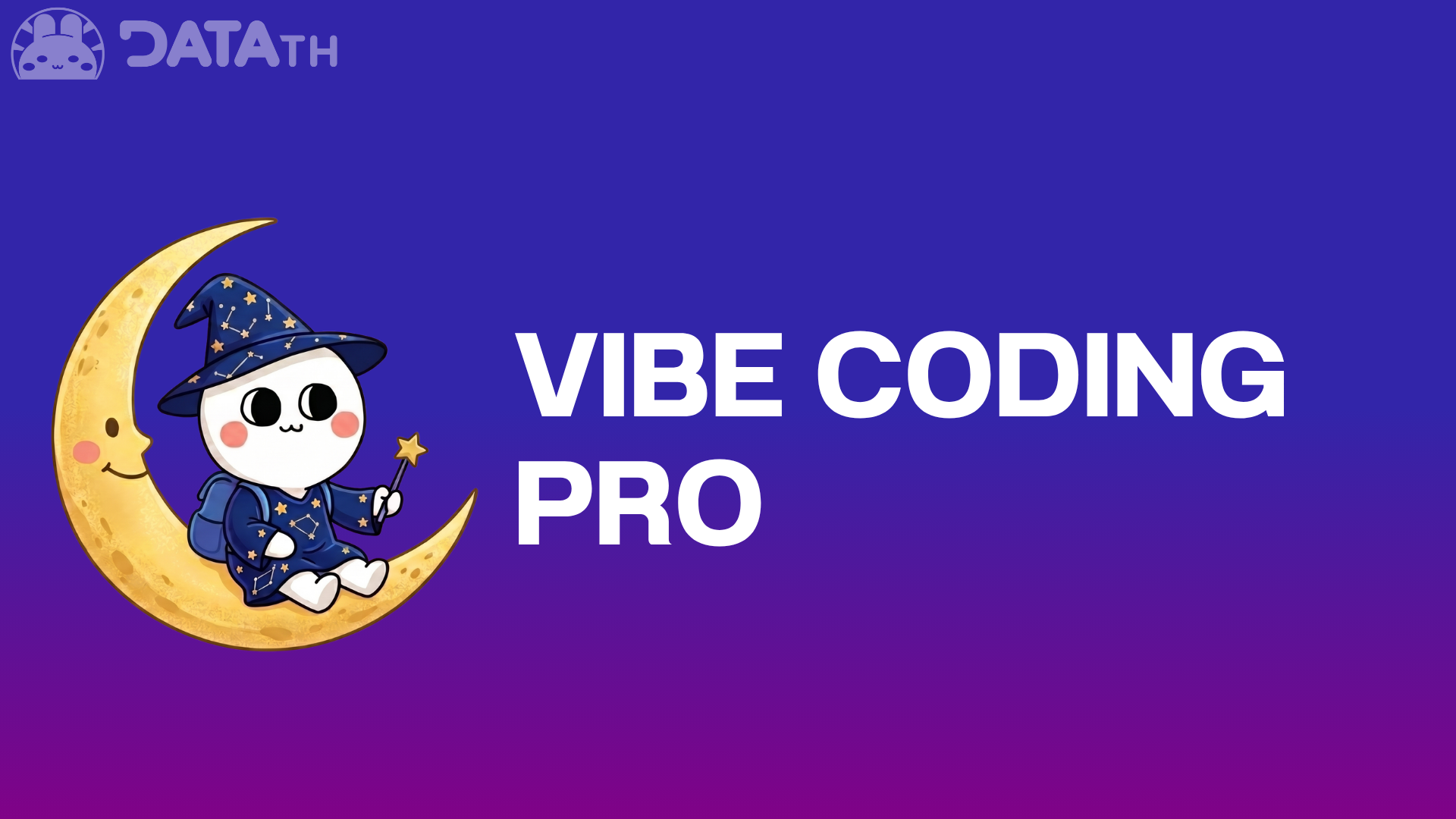 Product image for Vibe Coding Pro