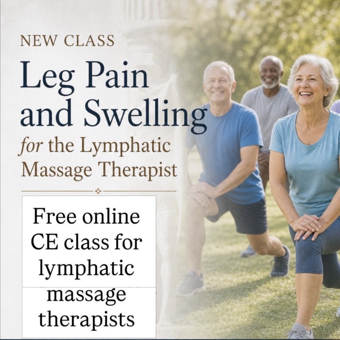 Product image for Leg Pain and Swelling for the Lymphatic Massage Therapist
