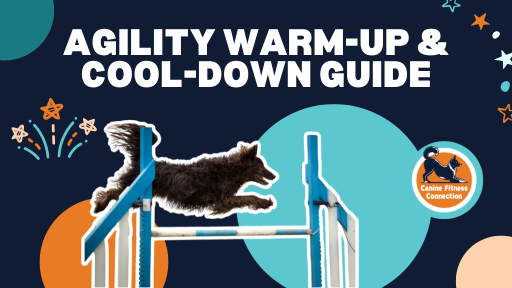 Product image for Agility Warm-Up & Cool Down Guide