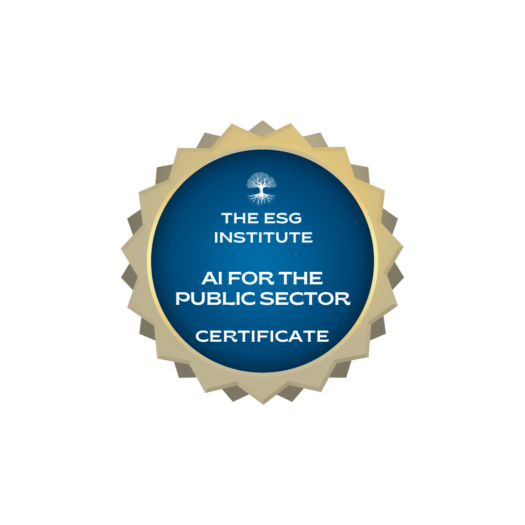 Product image for Certificate in AI for the Public Sector