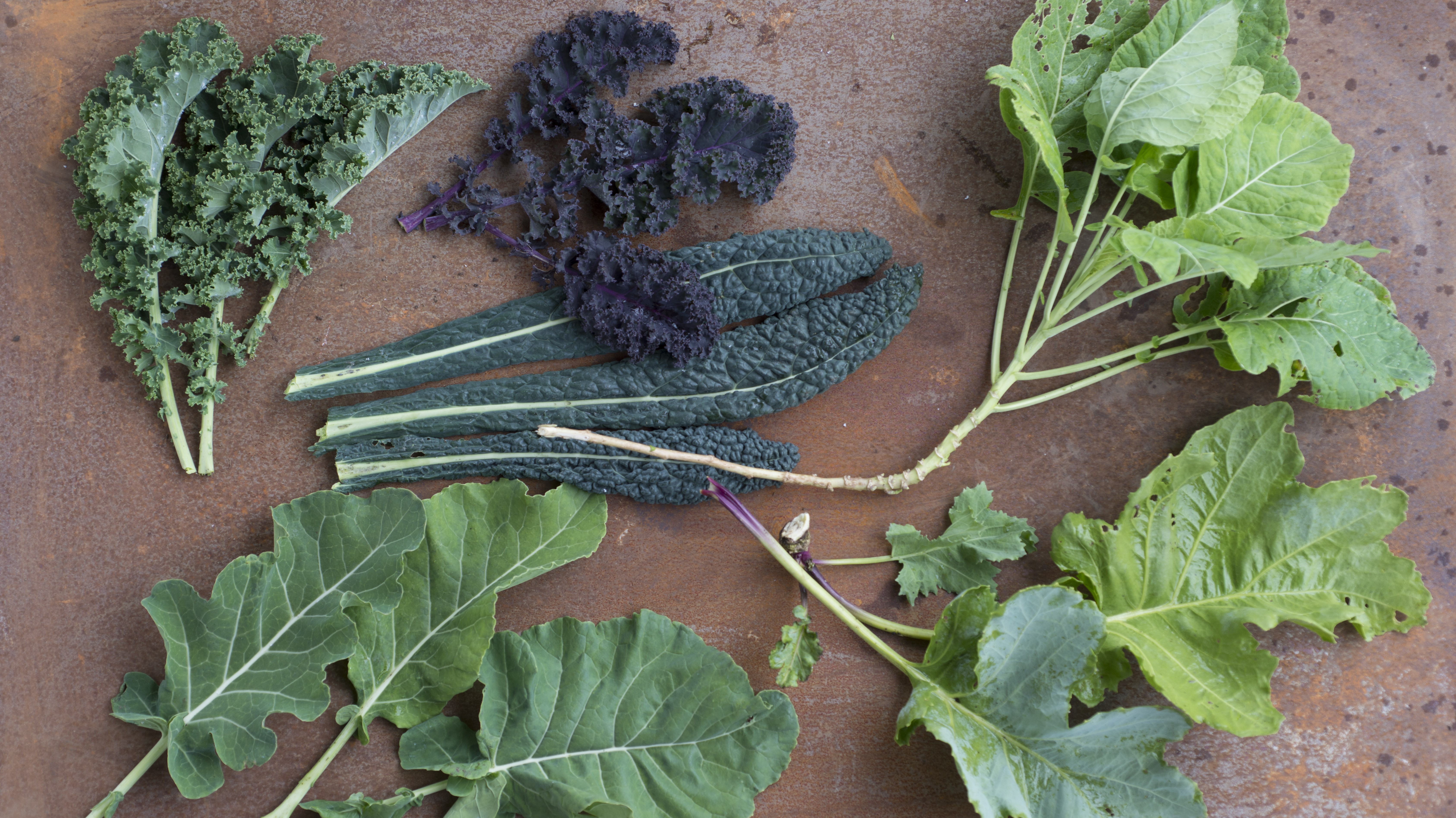Product image for CHE CAVOLI CUCINO? Cavolo nero, cavolo riccio, cime di rapa