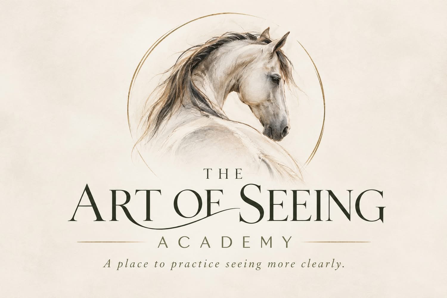 Product image for The Art of Seeing Academy 