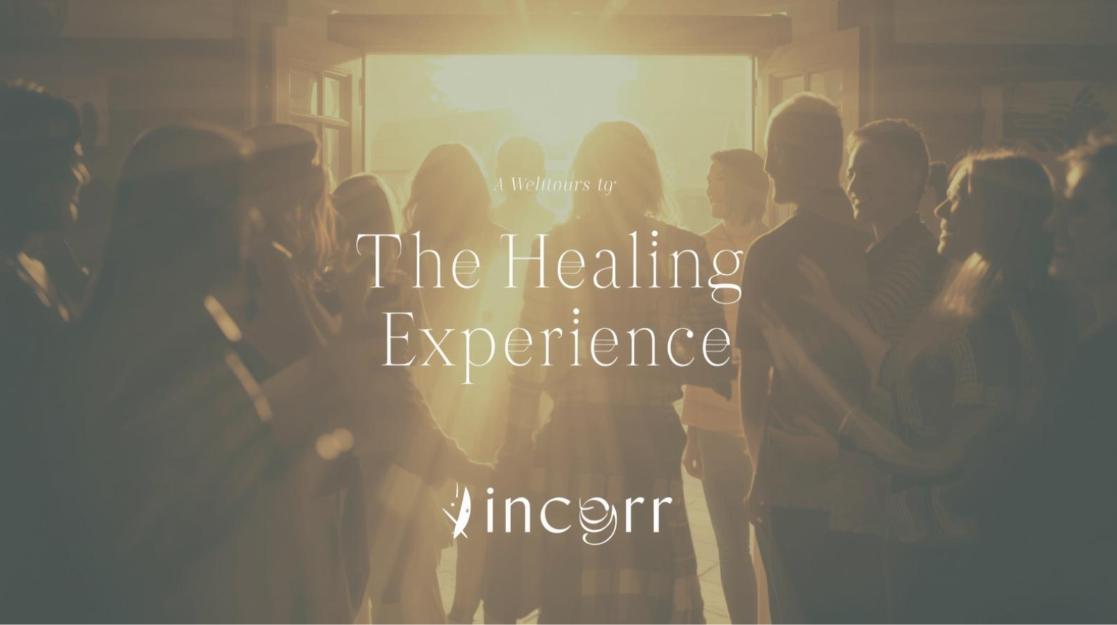 Product image for Healing Experience - Live Calls / Replays / Additional Resources 