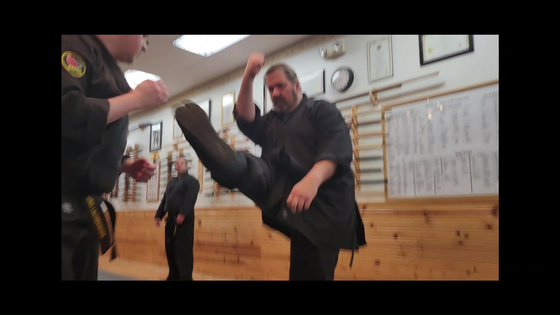 Product image for Unlimited Access to All Dojo Courses and Lessons