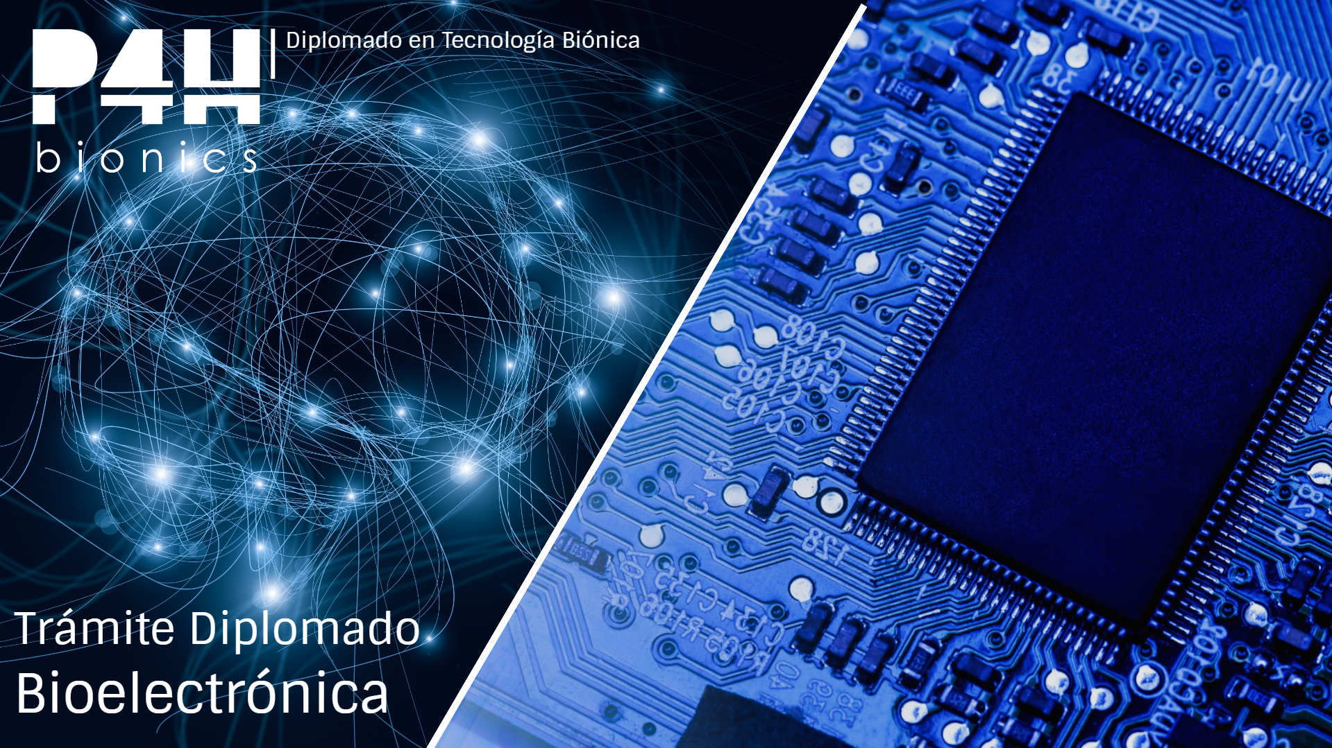 Imagen de producto para (Importante) Tramita tu Diploma en Biomecánica