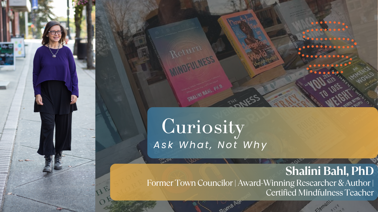 Product image for Curiosity: The Openness to Discover What's True