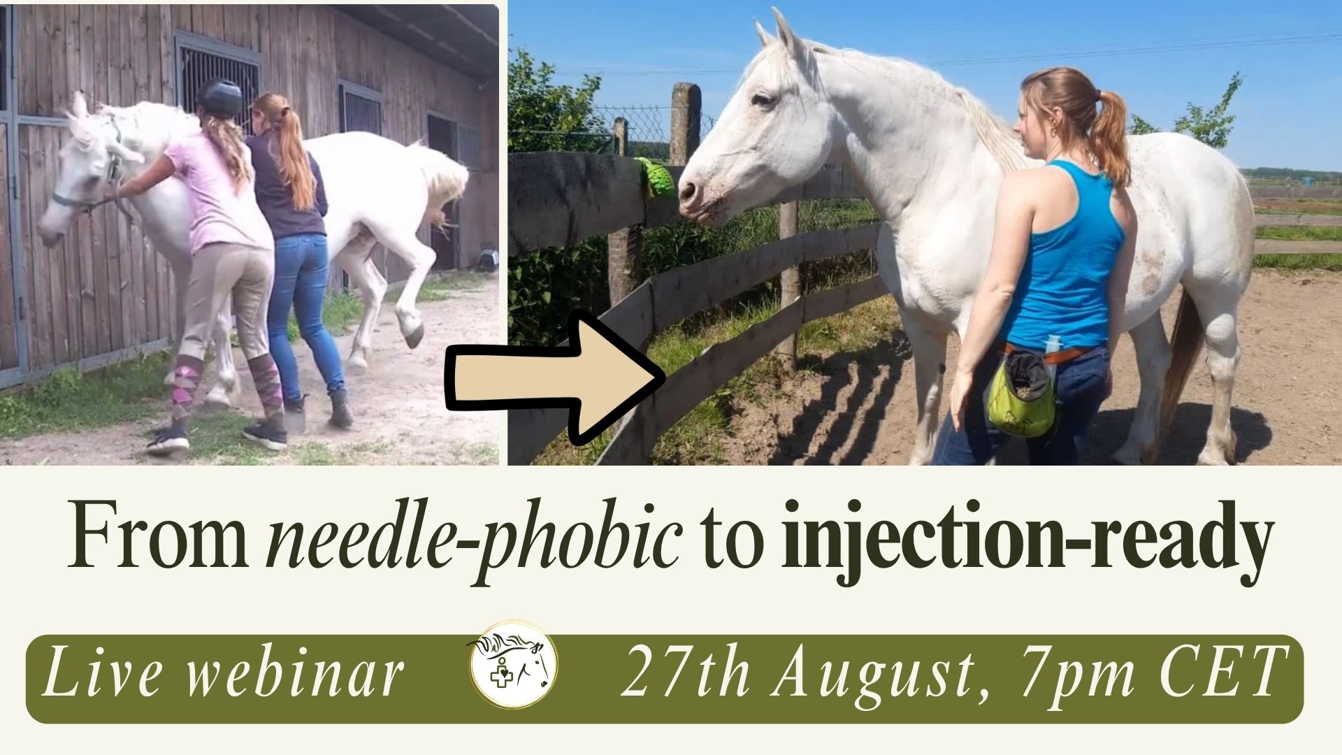 Product image for From Needle-Phobic to Injection Ready