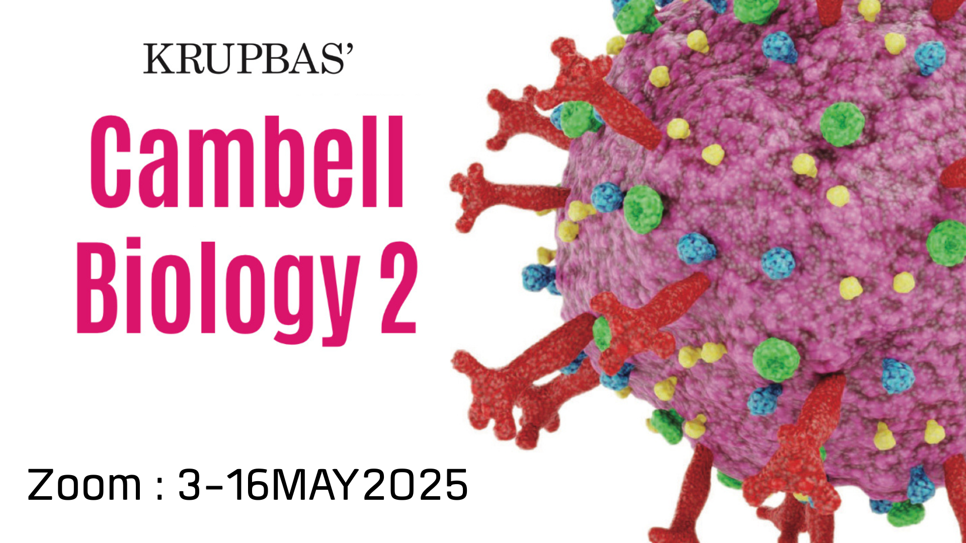 Product image for Campbell Biology 2 (Zoom : 5/2025)