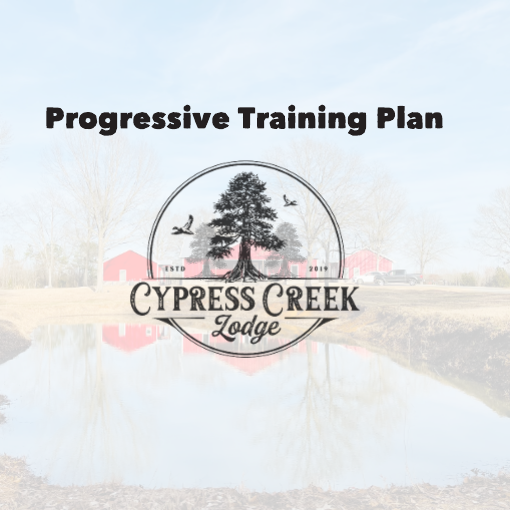 Product image for Progressive Training Course