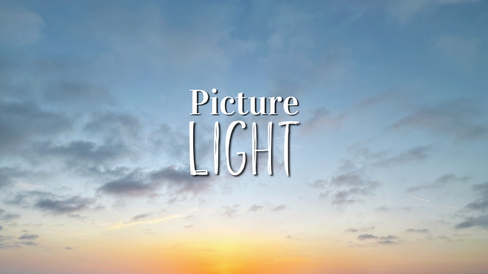 Product image for Picture Light