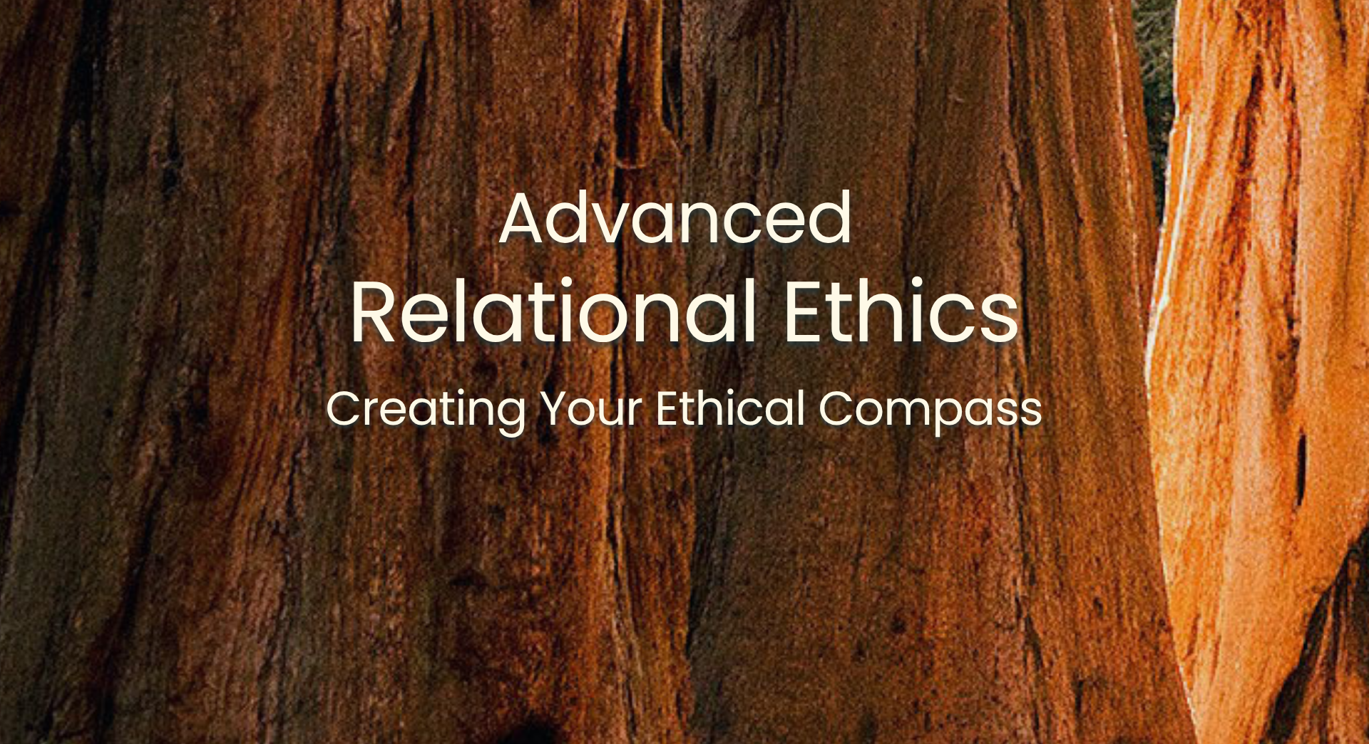 Product image for Advanced Relational Ethics: Creating Your Ethical Compass Fall 2027