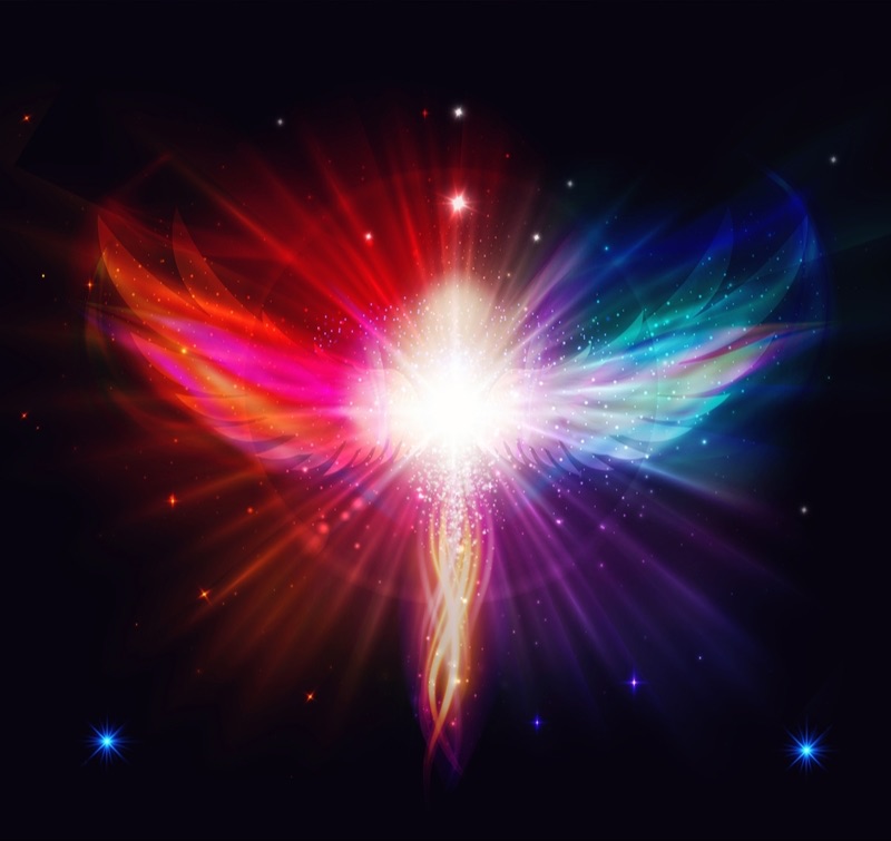 Product image for The 72 Angels and the Sacred Names of God