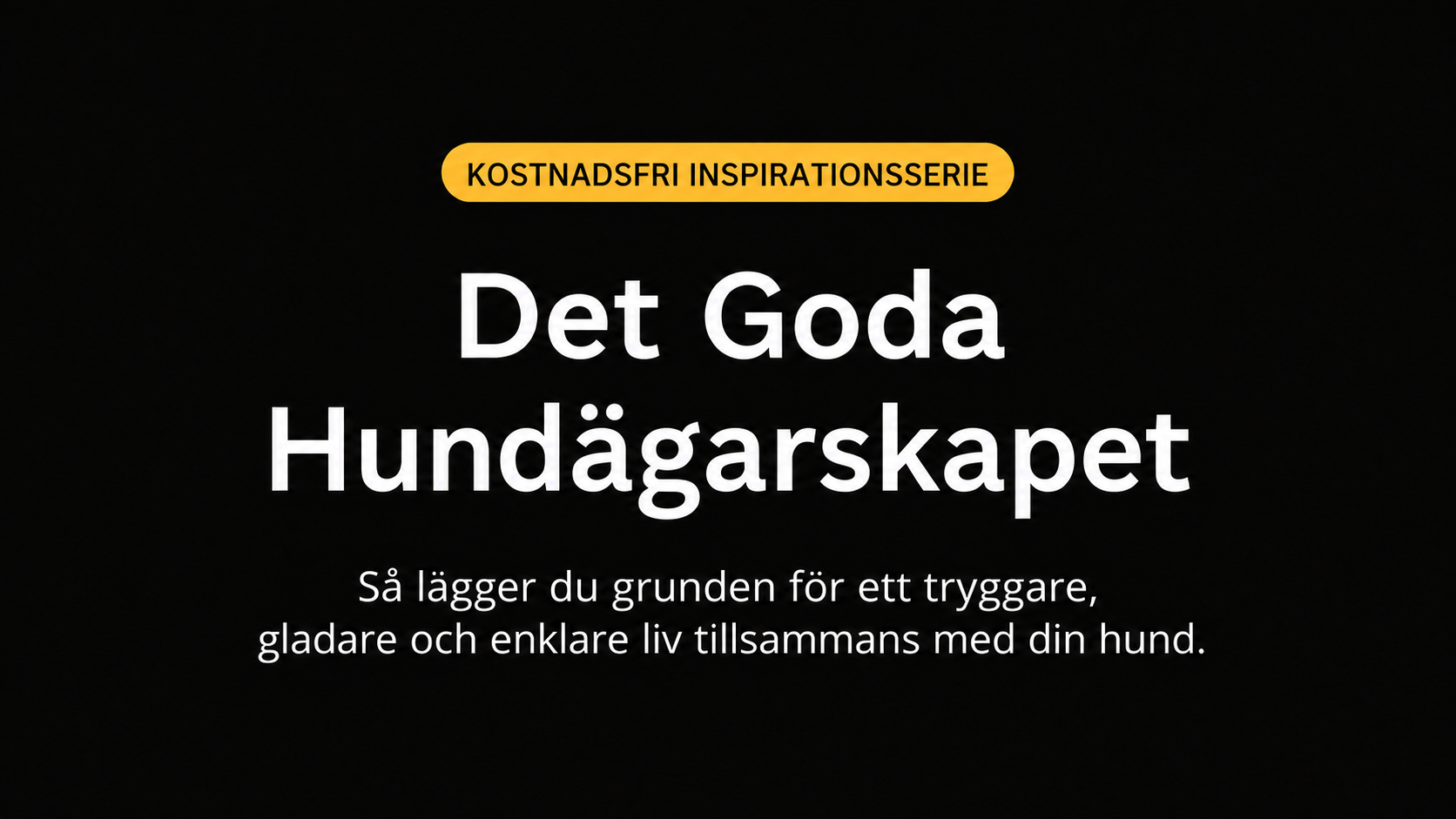 Product image for FÖRSTÅ SITUATIONEN-UPPTÄCK DET GODA HUNDÄGARSKAPET
