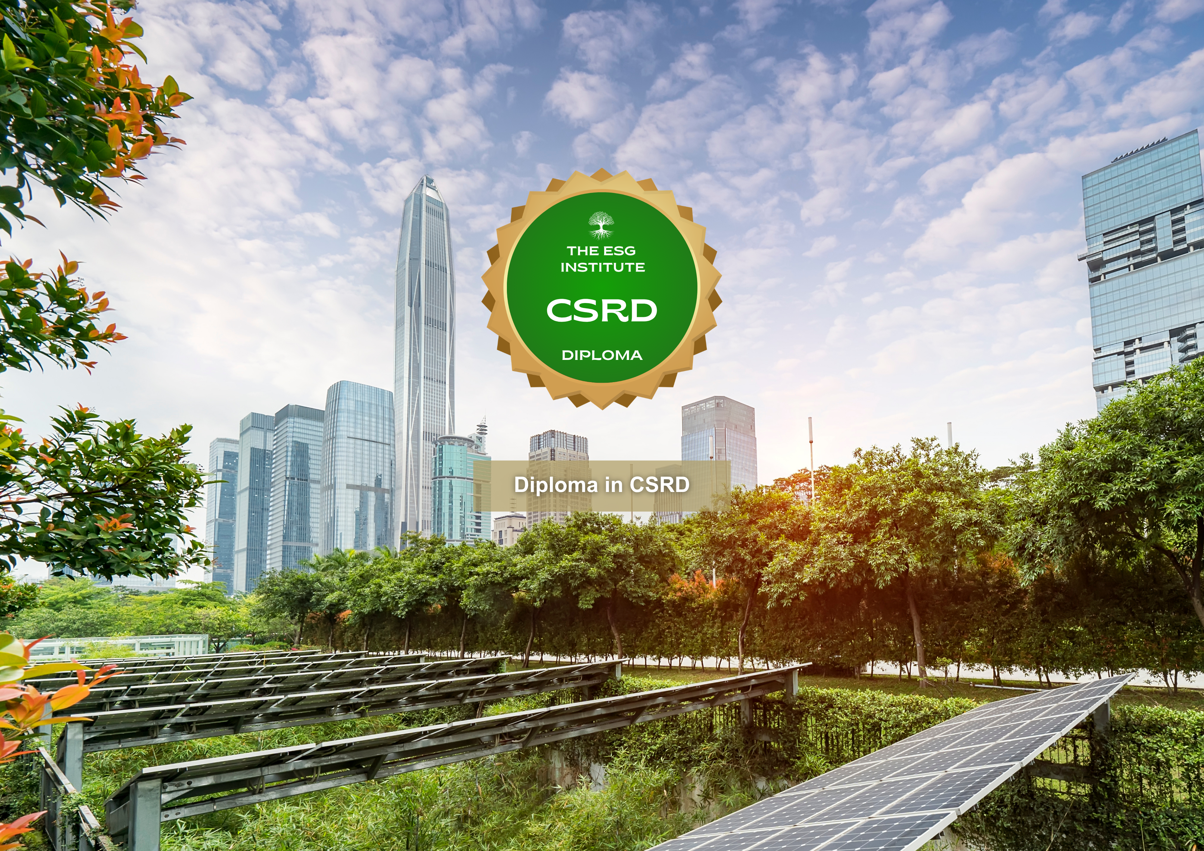 Diploma in CSRD