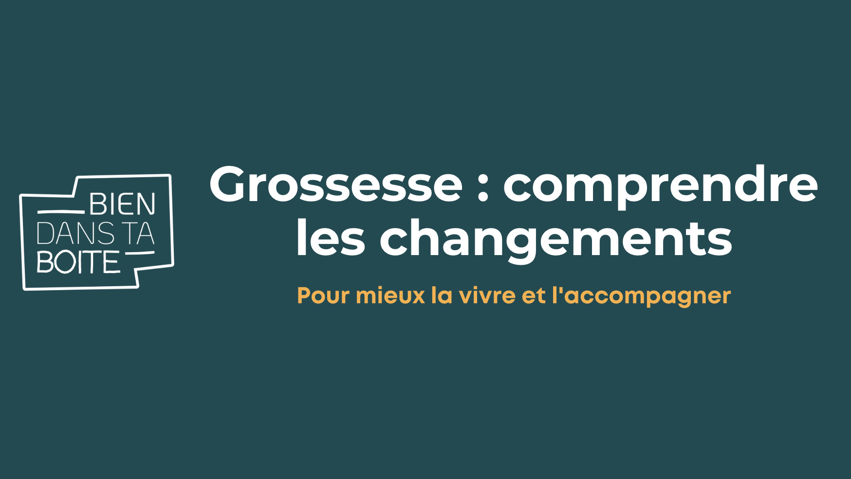 Product image for Grossesse : comprendre les changements pour mieux la vivre et l'accompagner