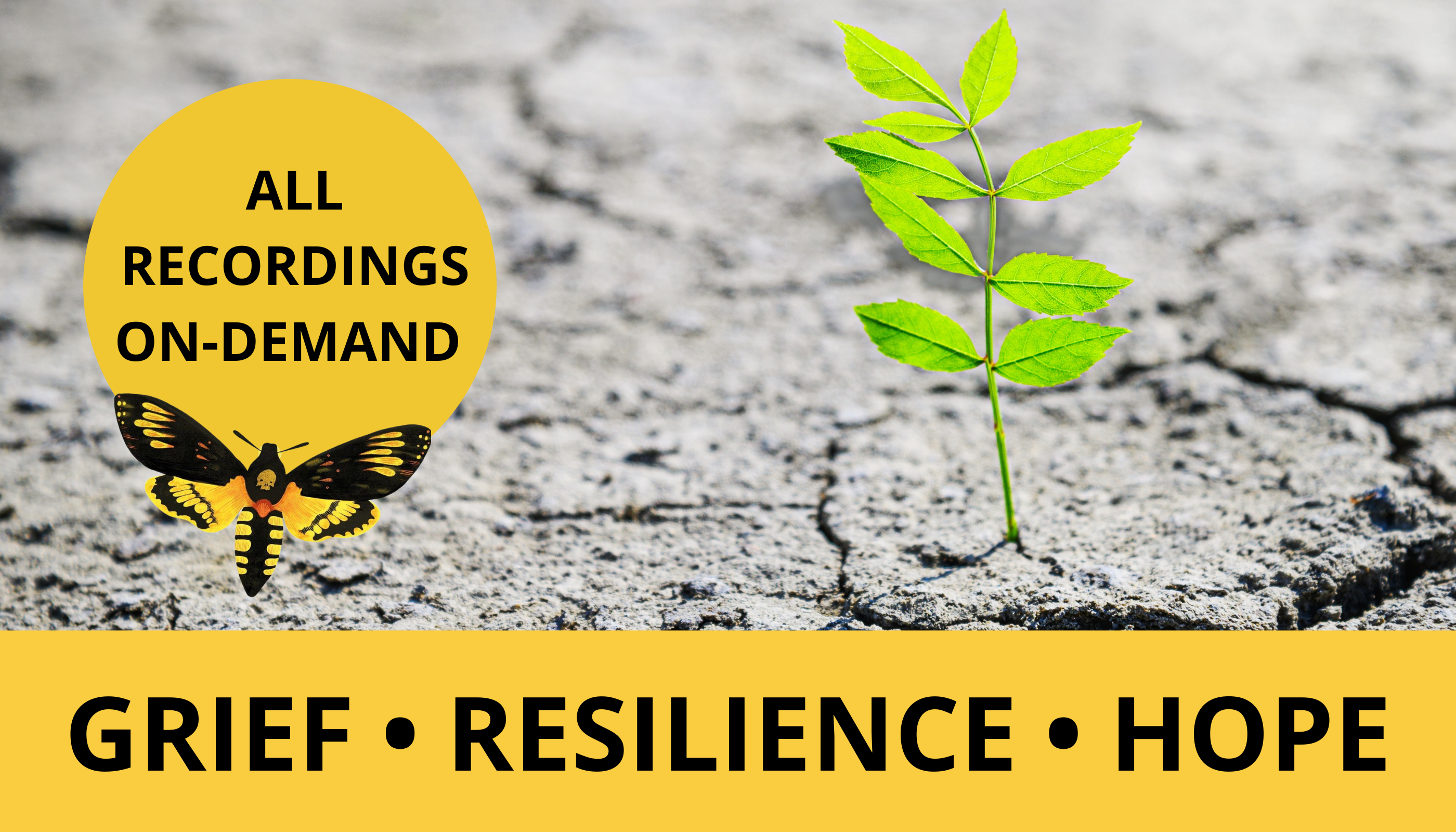 Product image for GRIEF, RESILIENCE AND HOPE VIDEO PACKAGE 
