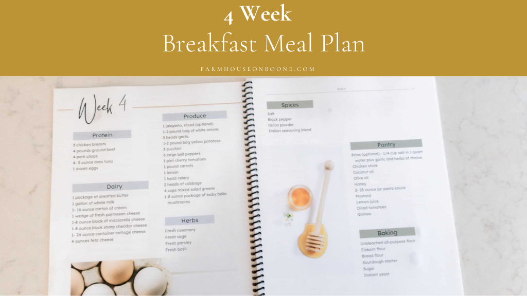 Product image for 4 Week Breakfast Meal Plan