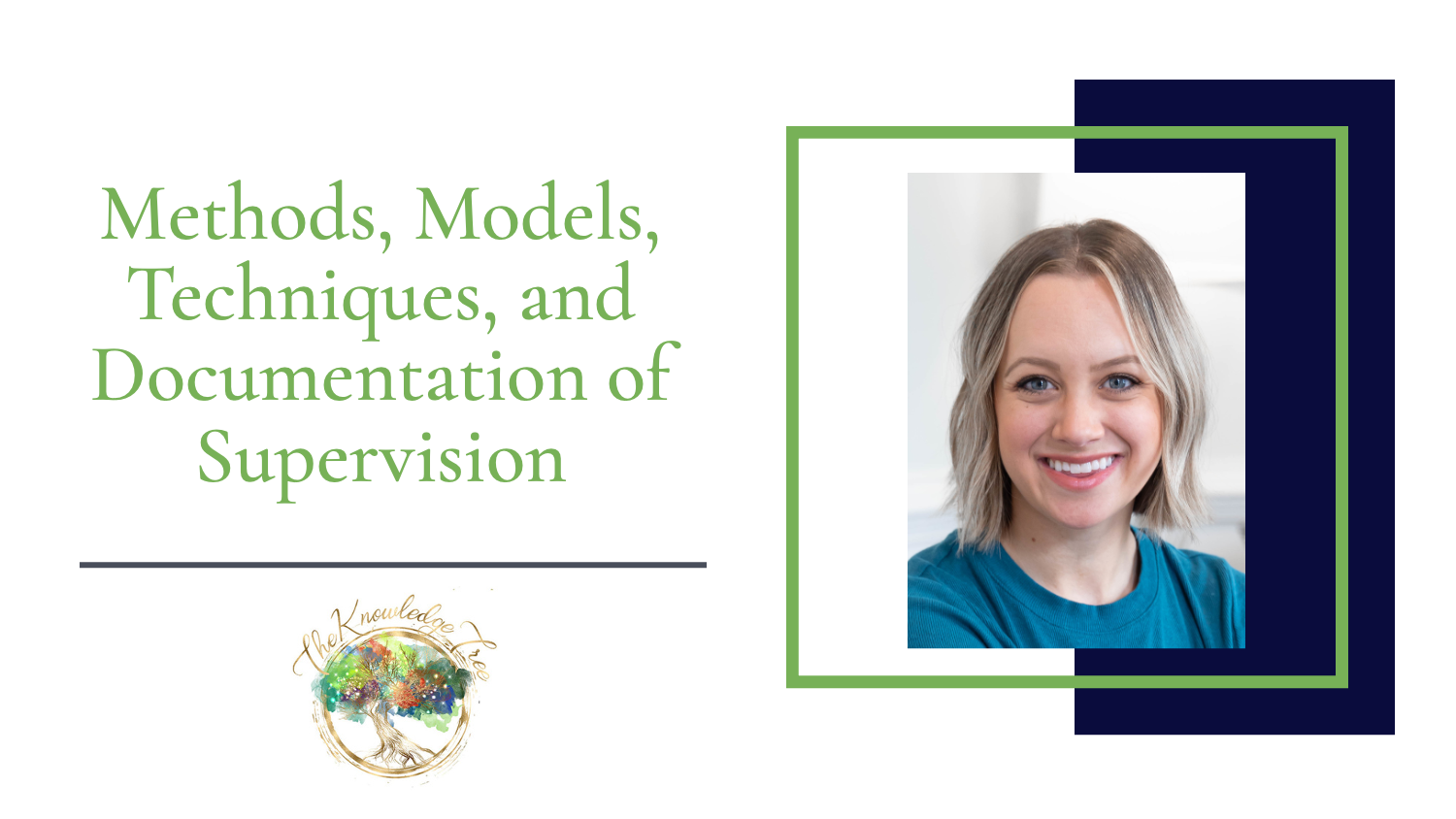 Product image for Methods, Models, Techniques, and Documentation of Supervision