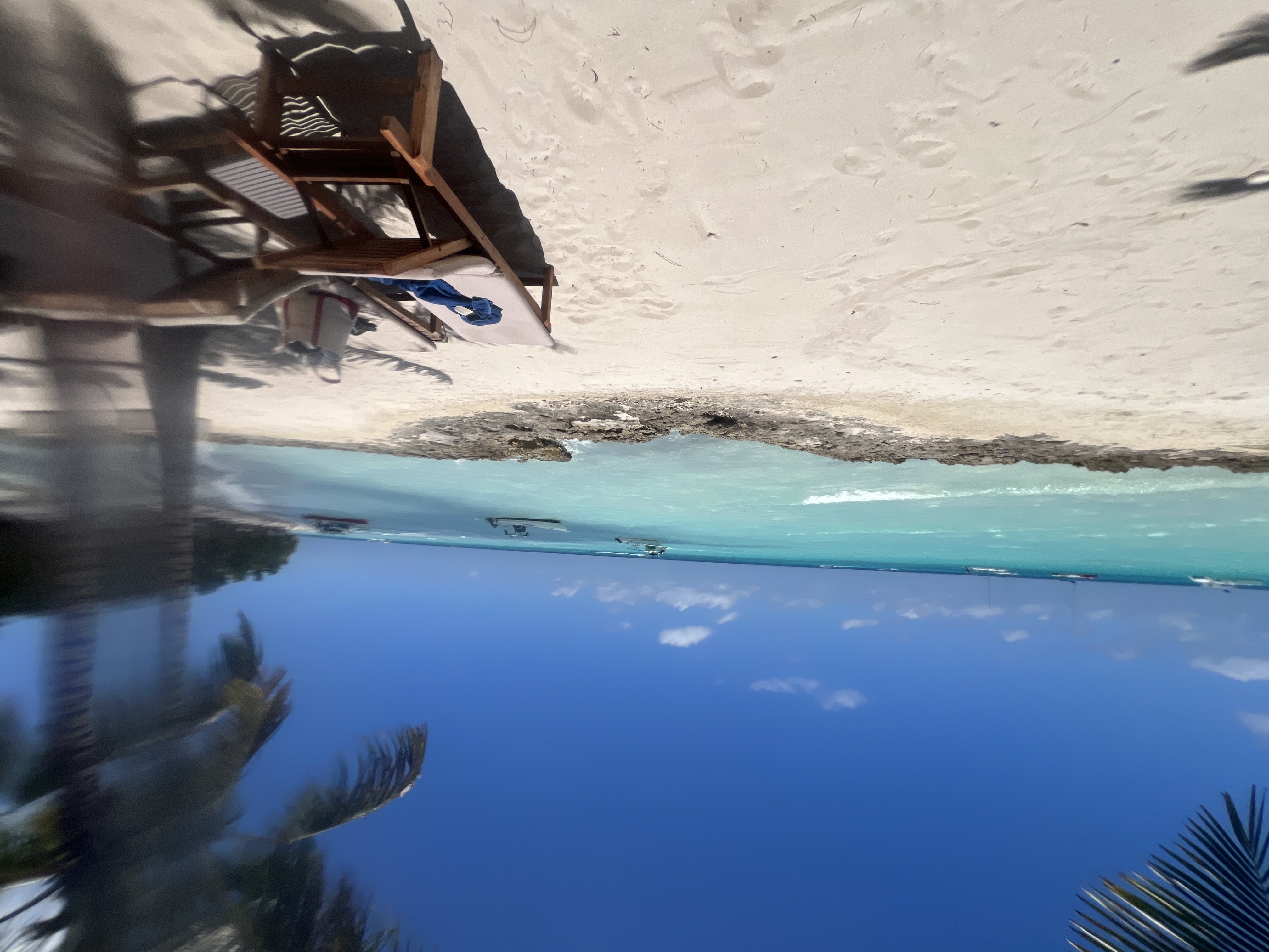 Product image for The Dominican Horizon: A 5-Senses Grounding Meditation
