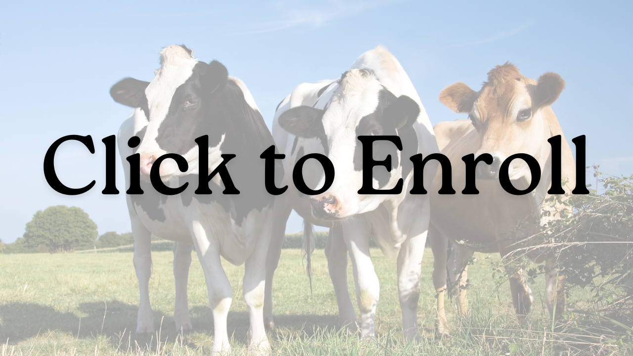 Spanish for Dairy Agriculture Intermediate