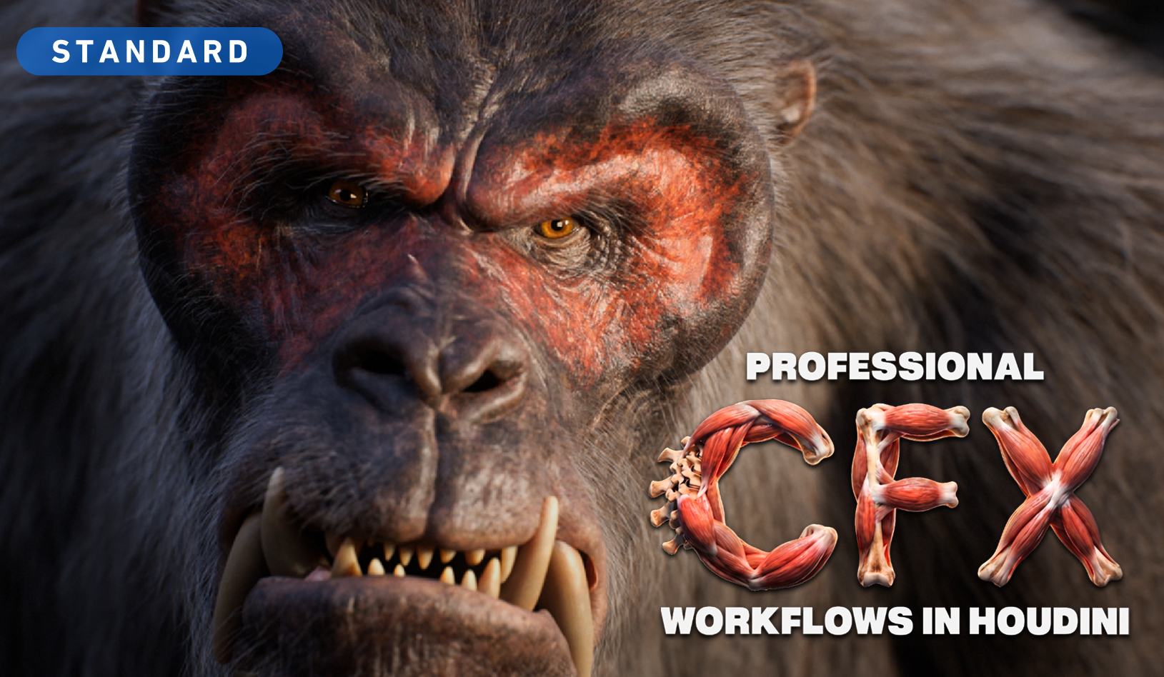 Product image for Professional CFX workflows in Houdini