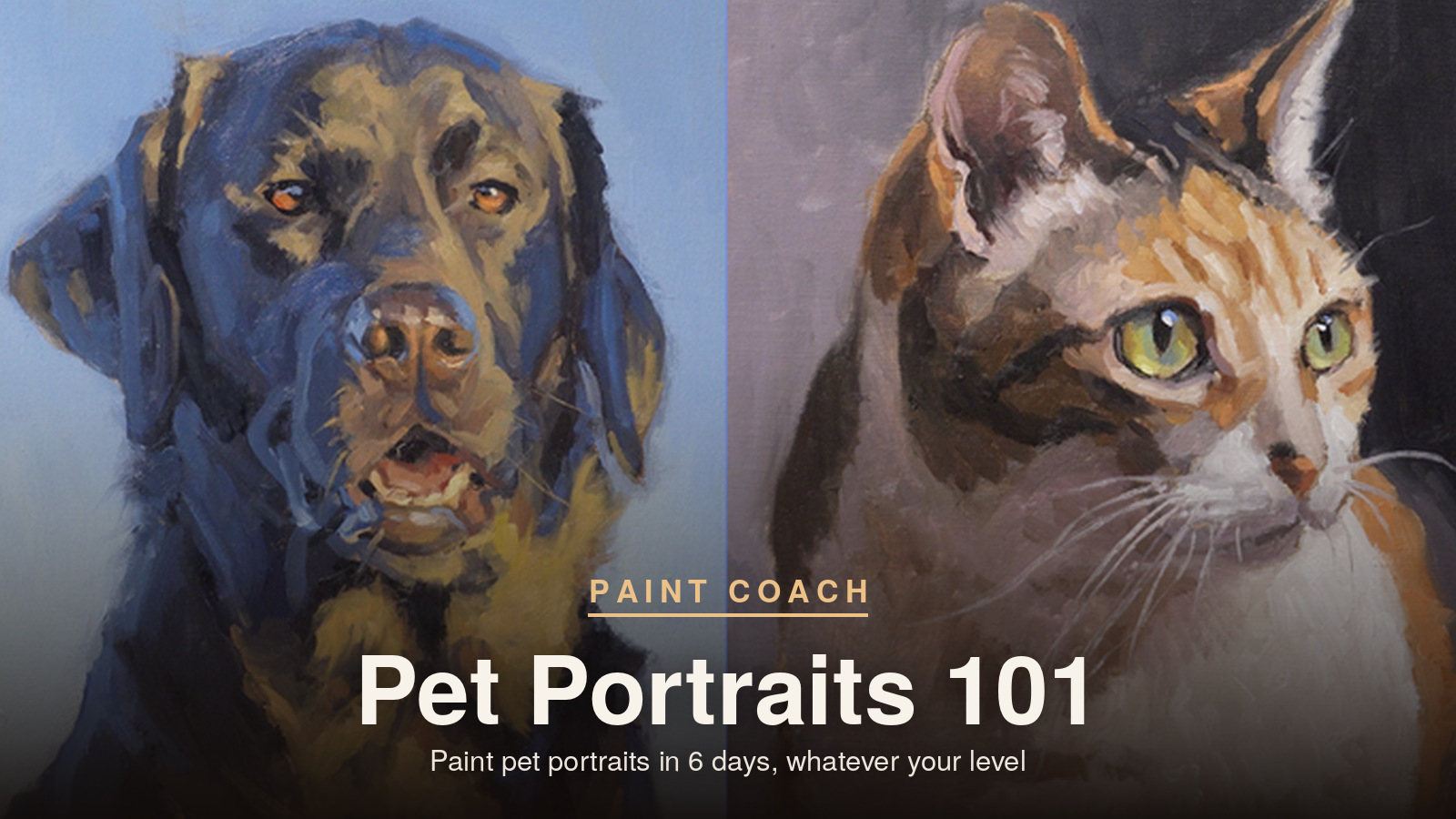 Product image for Pet Portraits 101