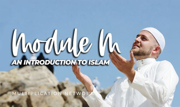 Product image for Module M