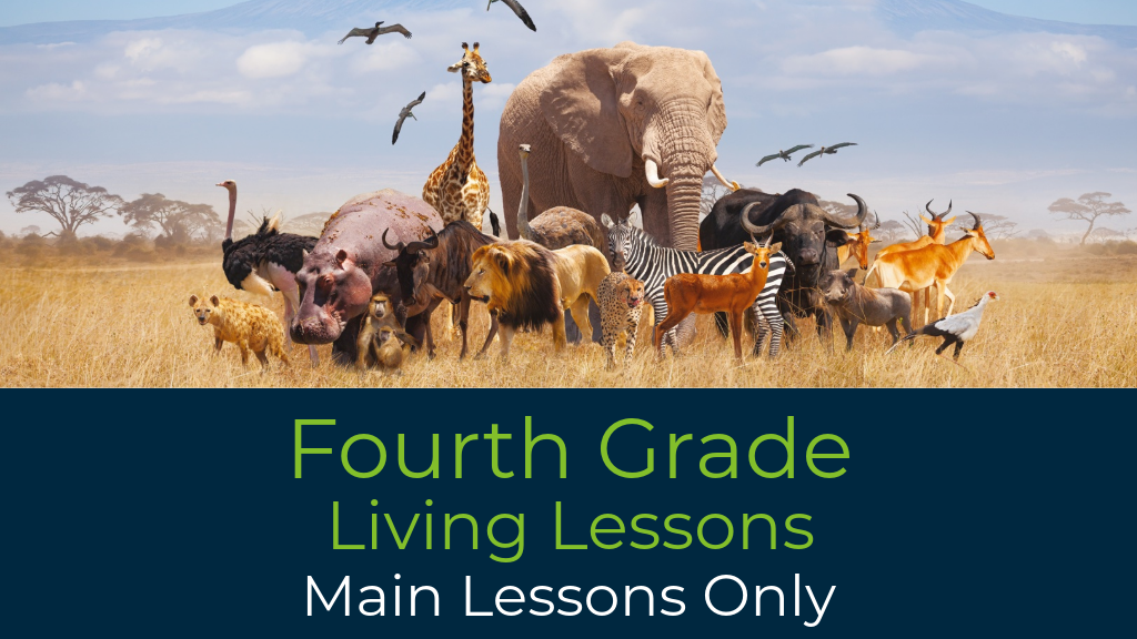 Product image for G4: Fourth Grade Waldorf Living Lessons (Main Lessons)