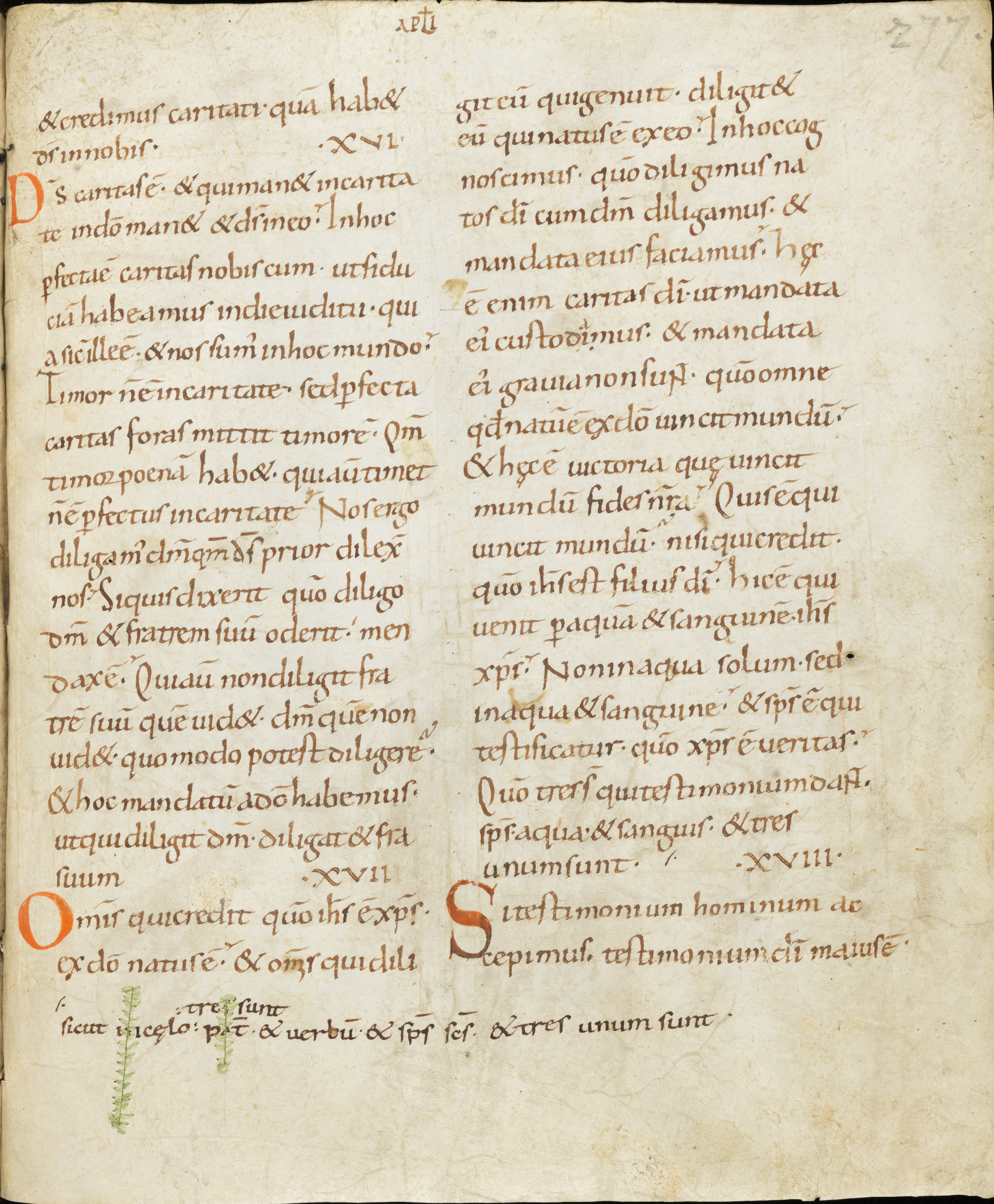 Product image for Advanced Latin Readings: The Vulgate: New Testament