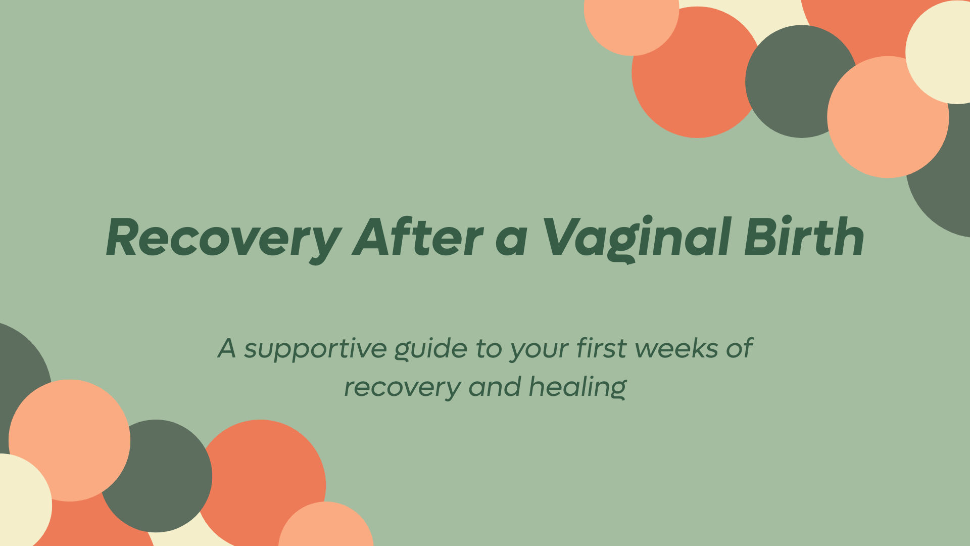 Product image for Your Free Post Vaginal Birth Guide