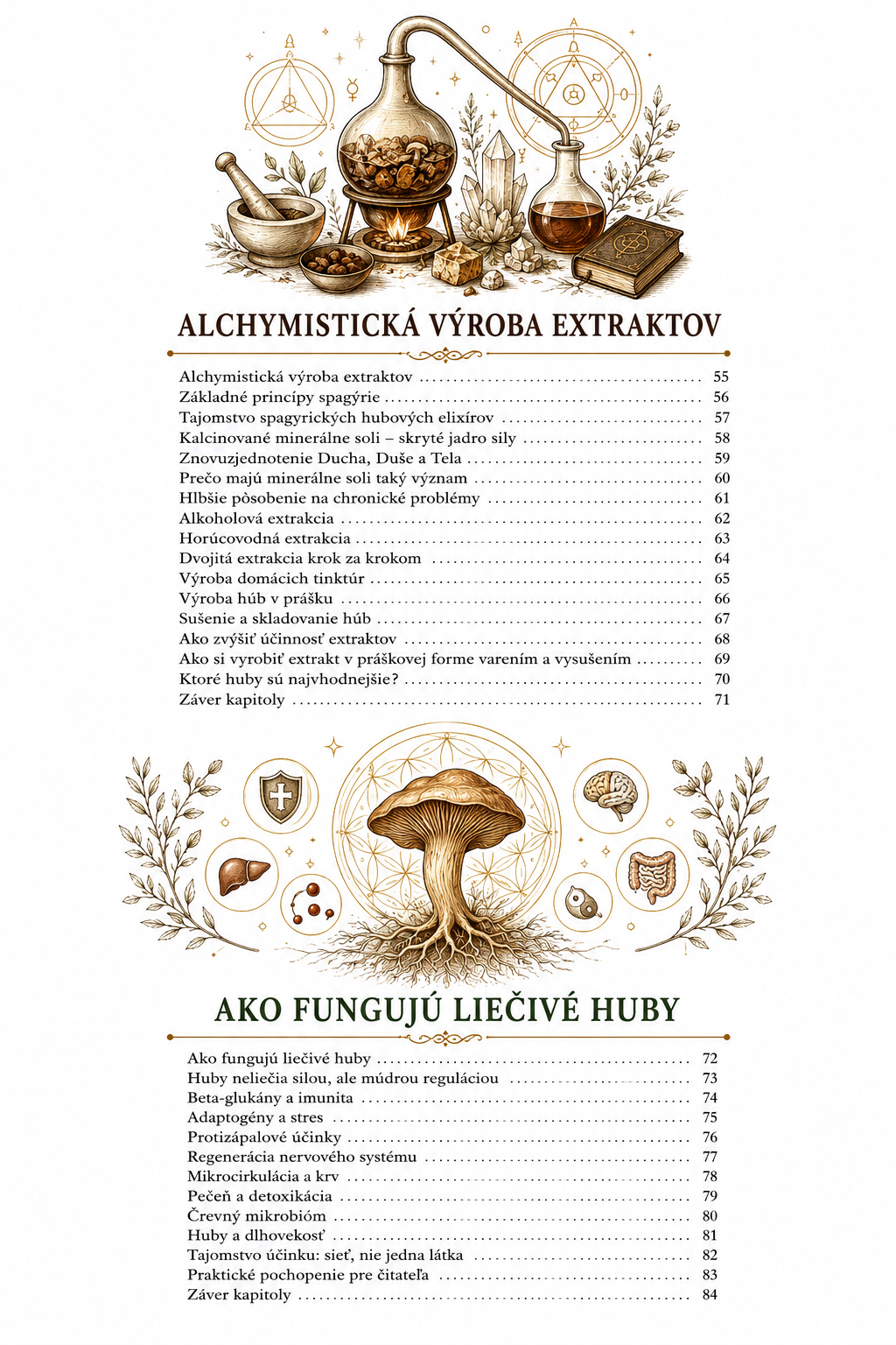 Kurz Alchýmia liečivých húb - výroba preparátov